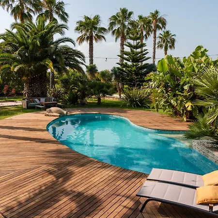 Canopee - Maison Exotique